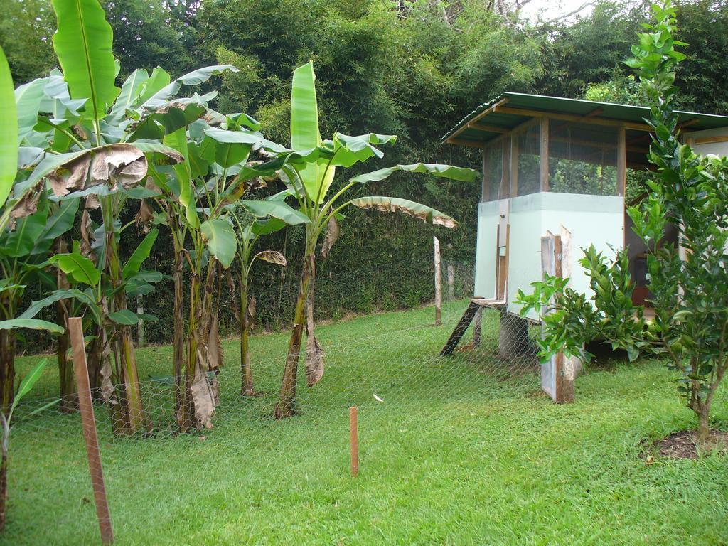 El Paraiso Verde B&B Atenas Luaran gambar