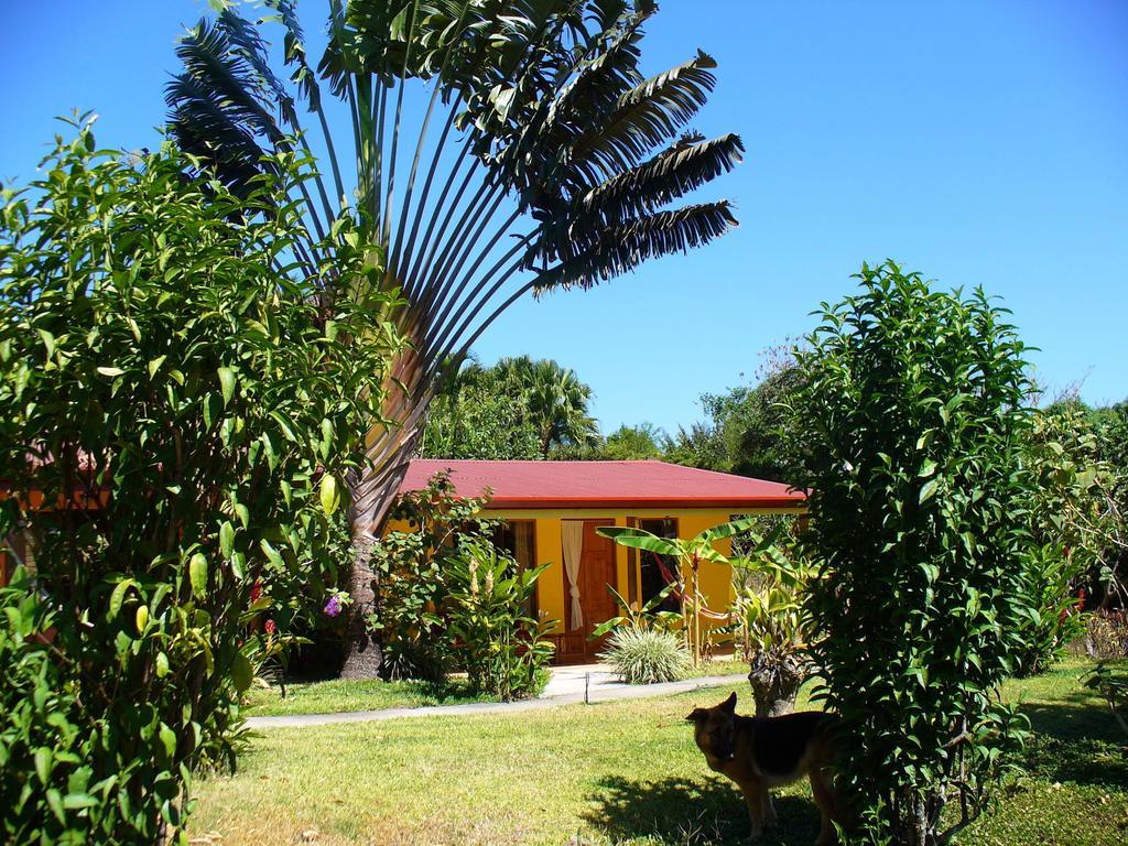 El Paraiso Verde B&B Atenas Bilik gambar